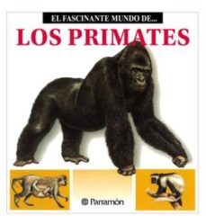 los primates (ebook)-maria angels julivert zamarreño-9788499102955