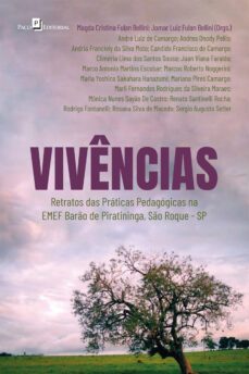 vivencias (ebook)-magda cristina fulan bellini-jomar luiz fulan bellini-9788546223855