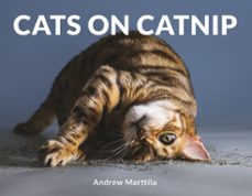 -andrew marttila-9781472142665