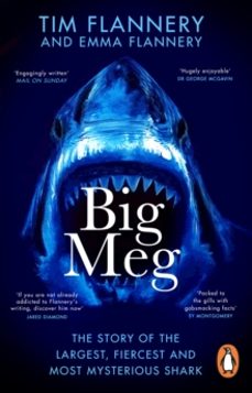 big meg-emma flannery-9781804992265