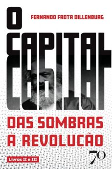 o capital-fernando frota dillenburg-9786554273565
