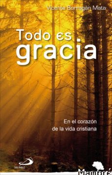 todo es gracia (ebook)-vicente borragan mata-9788428563765