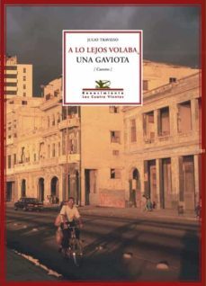 a lo lejos volaba una gaviota-julio travieso serrano-9788484721765