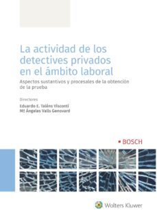 la actividad de los detectives privados en el ambito laboral: aspectos sustantivos y procesales de la obtencion de la prueba-eduardo e. talens visconti-maria angeles valls genovard-9788490904565