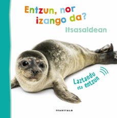 itsasaldean (entzun nor izango da?)-9788498437065