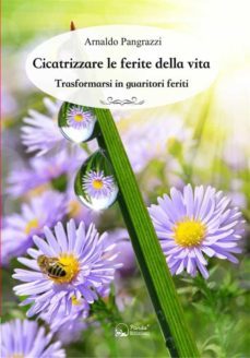 cicatrizzare le ferite della vita (ebook)-arnaldo pangrazzi-9788893780865