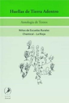 huellas de tierra adentro (ebook)-maria teresa lerner-9789875993365