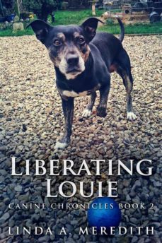 liberating louie (ebook)-9791222018065