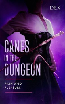 canes in the dungeon: pain and pleasure (ebook)-9798992223965
