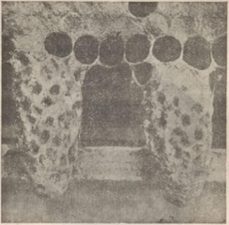 apicultura practica y sencilla (ebook)-t. josé trigo-4099995483475