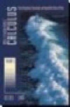 multivariables calculus: from graphical, numerical, and symbolic point of view (vol. iii)-arnold ostebee-paul zorn-9780618248575