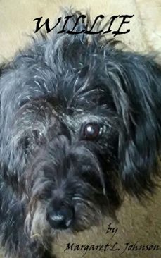 willie (ebook)-margaret johnson-9781005550875