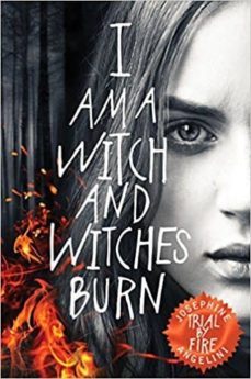 trial by fire (the worldwalker trilogy 1)-9781509809875