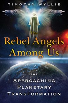 the rebel angels among us (ebook)-timothy wyllie-9781591433675