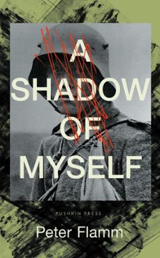 a shadow of myself (ebook)-peter flamm-9781805332275