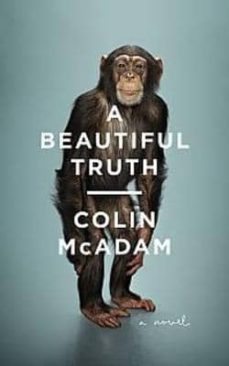 a beautiful truth-colin mcadam-9781847088475