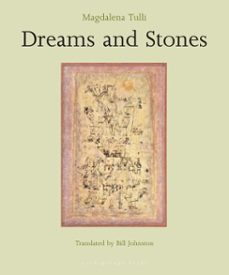 dreams and stones (ebook)-magdalena tulli-9781935744375