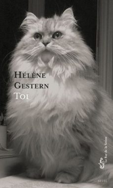 toi (ebook)-helene gestern-9782021595475