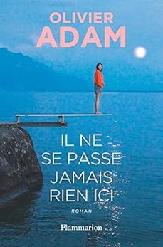 il ne se passe jamais rien ici-olivier adam-9782080441775