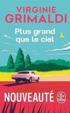 plus grand que le ciel-virginie grimaldi-9782253251675