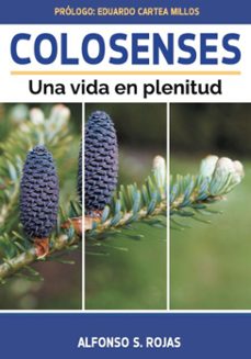 colosenses, una vida en plenitud (ebook)-alfonso solano rojas-9786319012675