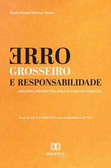 erro grosseiro e responsabilidade (ebook)-sandro rafael matheus pereira-9786527067375
