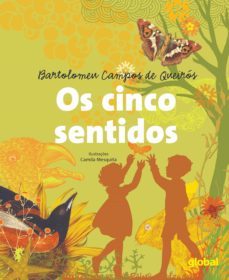 os cinco sentidos (ebook)-bartolomeu campos de queiros-camila mesquita-9786556120775