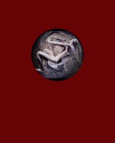 the void-wolfgang scholz-9788417866075