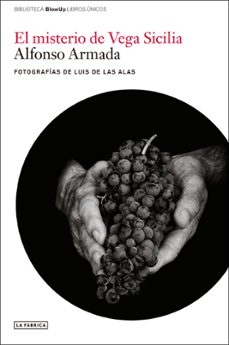 el misterio de vega sicilia-alfonso armada-9788418934575