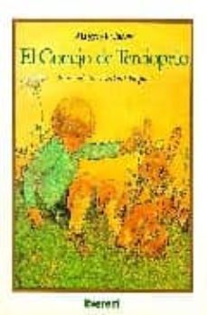 el conejo de terciopelo-margery williams-9788424133375