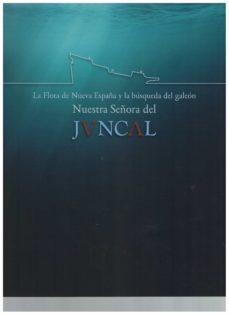 la flota de nueva españa y la busqueda del galepn nuestra señora del juncal-9788481817775