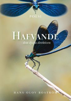 hafvande - dom djupa direktiven (ebook)-9789181146875