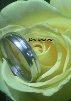 -alessandra lopes siqueira-3410001494185