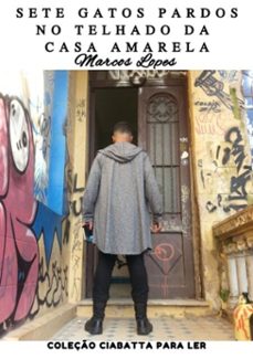 sete gatos pardos no telhado da casa amarela (ebook)-marcos lopes-3410002544285