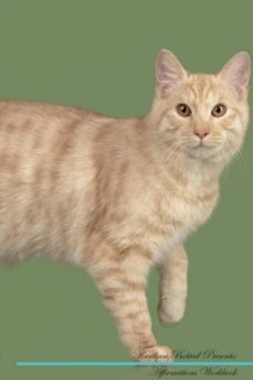kurilian bobtail affirmations workbook kurilian bobtail presents-9781526970985
