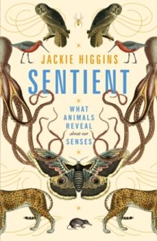 sentient-jackie higgins-9781529030785