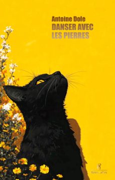 danser avec les pierres (ebook)-antoine dole-9782221288085