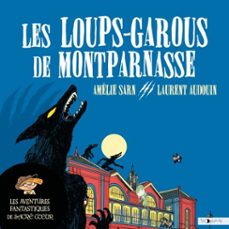 -amelie sarn-laurent audouin-frederic kneip-9782384490585