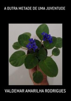a outra metade de uma juventude (ebook)-valdemar amarilha rodrigues-9786500052985