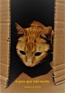 o pais que no existe (ebook)-rodrigues da silveira-9786500162585