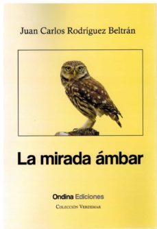 la mirada ambar-juan carlos rodriguez beltran-9788412591385