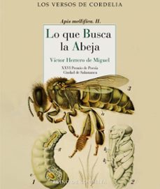 lo que busca la abeja-victor herrero de miguel-9788419124685