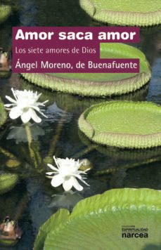 amor saca amor (ebook)-angel moreno de buenafuente-9788427725485
