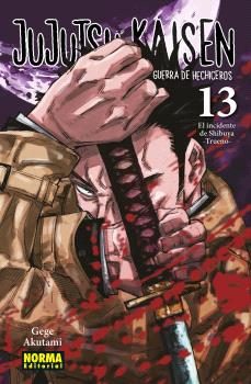 jujutsu kaisen 13-gege akutami-9788467973785