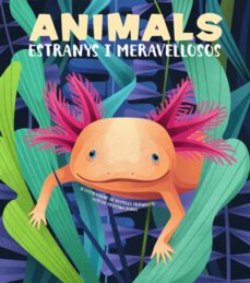 animals extranys i meravellosos-cristina banfi-9788468270685