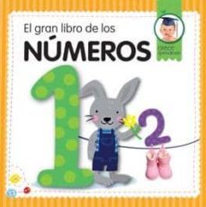 el gran libro de los numeros-9788492882885