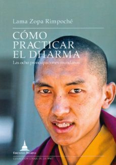 como practicar el dharma: las ocho preocupaciones mondanas-lama zopa rimpoche-9788496478985