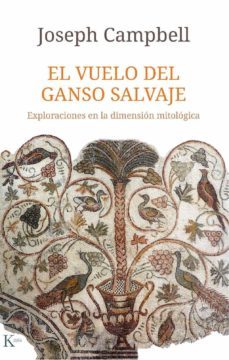 el vuelo del ganso salvaje (ebook)-9788499887685