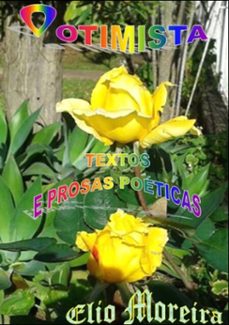 Imagen Principal de O Otimista