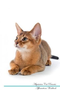 abyssinian cat affirmations workbook abyssinian cat presents-9781526965295